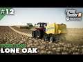 Lone Oak Timelapse #12 Harvesting Wheat & Baling Straw, Farming Simulator 19 XBox One X