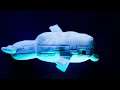 Minecraft-Delfin: Cool, intelligent und super weich!