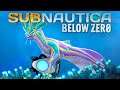 Subnautica Below Zero 02 | Seekobold klaut mir meinen Seaglide | Gameplay