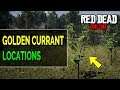 Golden Currant Locations for Daily Challenges - Red Dead Online (RDR2)
