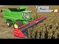Koszenie słonecznika - Farming Simulator 19 | #77
