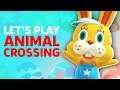 Let's Hunt For Eggs In Animal Crossing: New Horizons