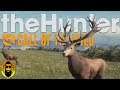 SPAIN!! in theHunter Call of the Wild