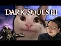 This was the funniest invasion i had in a while - Dark Souls 3