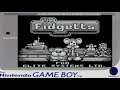 Fidgetts - Nintendo Game Boy