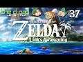 "Kill Fire with Fire" - PART 37 - The Legend of Zelda: Link's Awakening