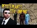 THE PEYOTE HUNT IN GTA ONLINE! (GTA 5 Mystery)