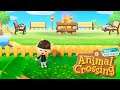Zona de relax | Animal Crossing New Horizons | MrLokazo86