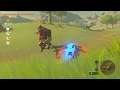 2 Weird Moments in Breath of the Wild