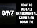 How To Install & Run The Experimental Version Of DayZ Server On Your Local PC With Mods