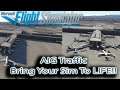 Microsoft Flight Simulator | AIG Traffic Injector | Bring Your Sim To Life