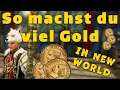 New World Gold Guide | So klappts mit den Talern!