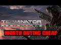 Terminator Resistance Review: Absolutely Worth Buying Cheap! (PS4 Gameplay)