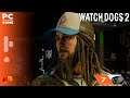 Watch Dogs 2 | Parte 7 Gatillazo Nudle | Walkthrough gameplay Español - PC