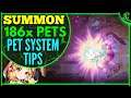 186x Pet Summons (Pet System Tips) Epic Seven Adoption Ticket Epic 7 Special Form E7 Pet Journal