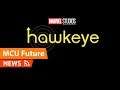 Hawkeye TV Series & Kate Bishop & Release Date Confirmed