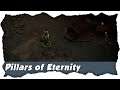PILLARS OF ETERNITY ⚔🛡 #05: Akt 1  - Raedrics Festungs Kerker - RPG Let´s Play [GER/EN]