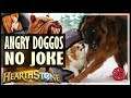 Team Angry Doggo Is No Joke - Hearthstone