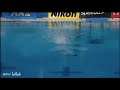 Anastasia Pozdnyakova One-Piece Black Swimsuit Butt Diving Pool Scene