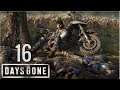 Days Gone (PS4) | En Español | Capítulo 16 "Heridas del pasado" - HD - Sin Comentarios