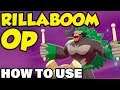 RILLABOOM OP! How To Use Rillaboom In Pokemon Sword and Shield - Rillaboom Moveset Guide