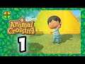 Animal Crossing: New Horizons (01) - Deserted Island | @TheAltPlay