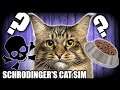 CURSE YOU SCHRODINGER!!! Let's Play Schrodinger's Cat Simulator - Mortally Challenged Week