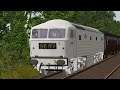 Open Rails | D0260 "Lion" Prototype Diesel Locomotive | Rubelandbahn | Let's Play | Gaming Video HD