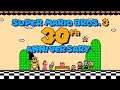 Super Mario Bros. 3: 30th Anniversary