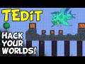 Terraria - Hack Your Worlds With TEdit!