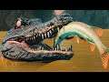 Super Predador! A Jovem Deinosuchus + Grande Pescaria! Armadilhas | The Isle Evrima | (PT/BR)