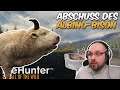 The Hunter Call Of The Wild - Abschuss eines Albino-Bisons [Gameplay / Deutsch]