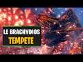 LE BRACHYDIOS TEMPETE ! - Monster Hunter World Iceborne