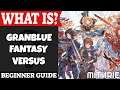 Granblue Fantasy Versus Introduction | What Is Series