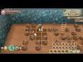 LONG RUN MINING TO FLOOR B255 STORY OF SEASONS FRIENDS OF MINERAL TOWN