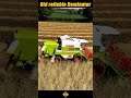 Old Reliable Dominator harvesting Rye -Farming Simulator #Shorts