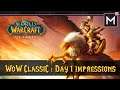 World Of Warcraft CLASSIC - DAY 1 IMPRESSIONS