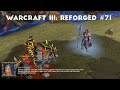 A Blaze Of Glory | Let's Play Warcraft III: Reforged #71