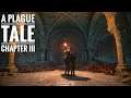 A Plague Tale | PS5 | No Commentary | Chapter III | Retribution