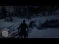 Encounter Many Of You Don't Know About (Red Dead Redemption 2)