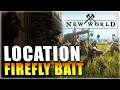 Firefly Bait Location New World (Freshwater Bait)