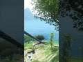 Pig Hunting In Far Cry 3