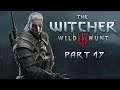 SingSing The Witcher 3: Wild Hunt - Part 17