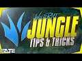 5 TIPS & TRICKS JUNGLE ROLE| Wild Rift Jungle Tips