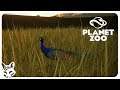 Adopting Indian Peafowls and Researching New Items! | Let's Play Planet Zoo Beta Part 5