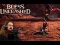 Crusader Mark of the Wolf Blessing Overview | Bless Unleashed Full Release