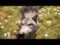Far Cry Primal #007 - Weißwolf zähmen