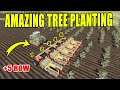 Farming Simulator 19: Amazing Tree Planting!! Fast planting with crazy machines !!