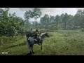 iiBiancax3 Rdr online