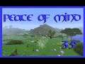 Peace of Mind | Botania Runic Altar | Ep 35 | Modded Minecraft